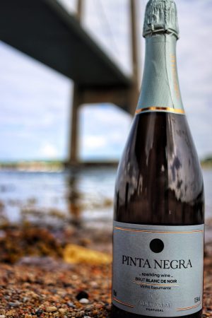 Alternative view of NV   Blanc De Noir, Adegamãe. Lissabon. Portugal.