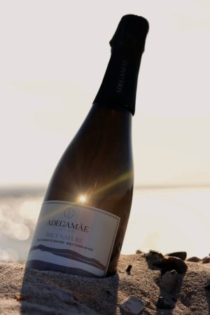 Alternative view of 2017   Brut Nature, Adegamãe. Lissabon. Portugal.