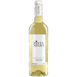 2024, Pinta negra white, Adegamaé, Lissabon, Portugal